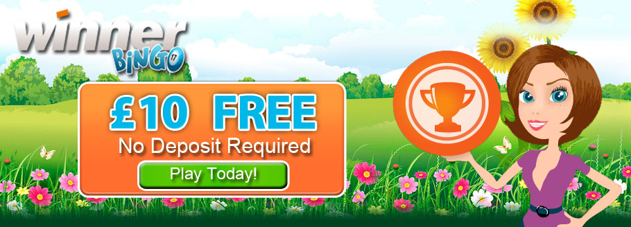 INTERNET BETTING internet betting: